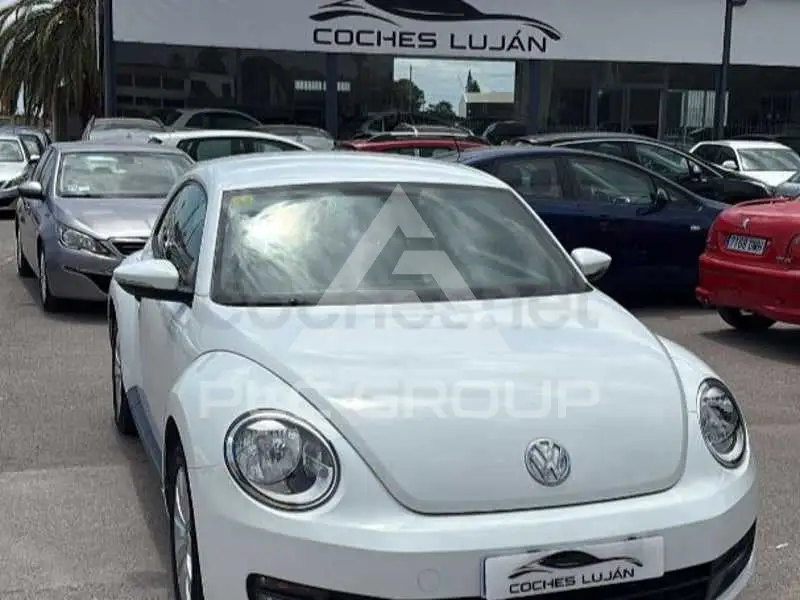 2014 Volkswagen BEETLE