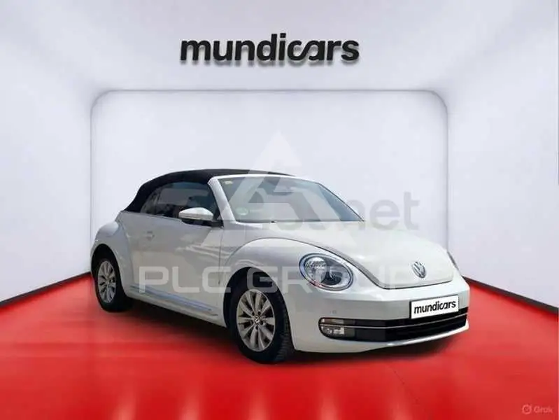 2014 Volkswagen BEETLE