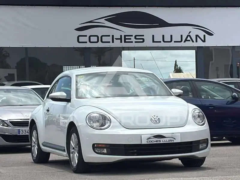2014 Volkswagen BEETLE