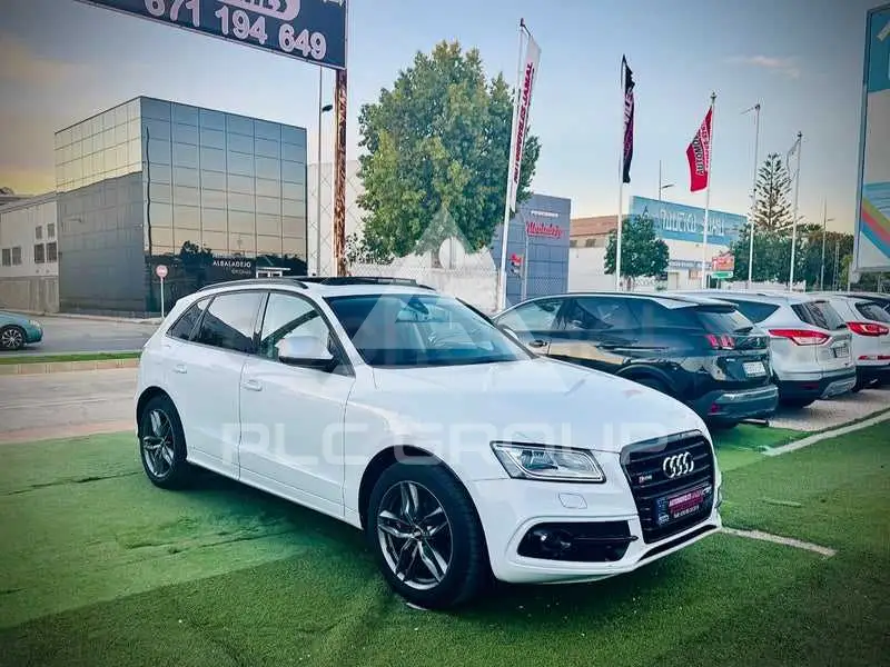 2015 Audi SQ5