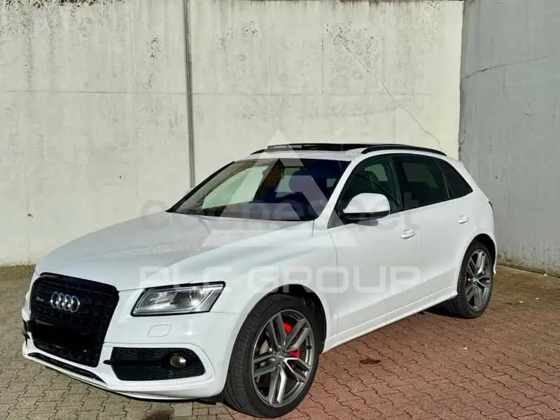 2015 Audi SQ5