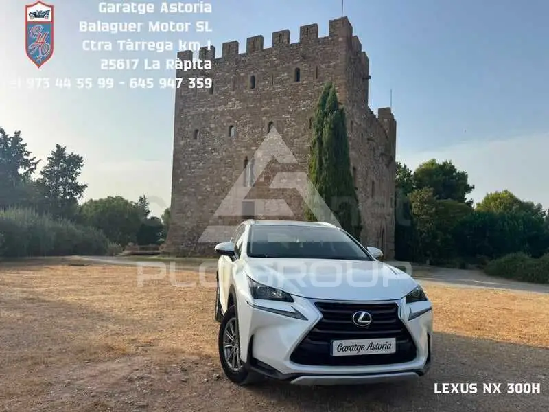 2015 Lexus NX