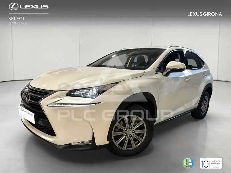 2018 Lexus NX