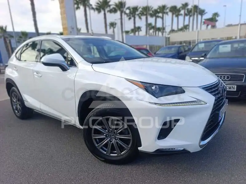 2018 Lexus NX