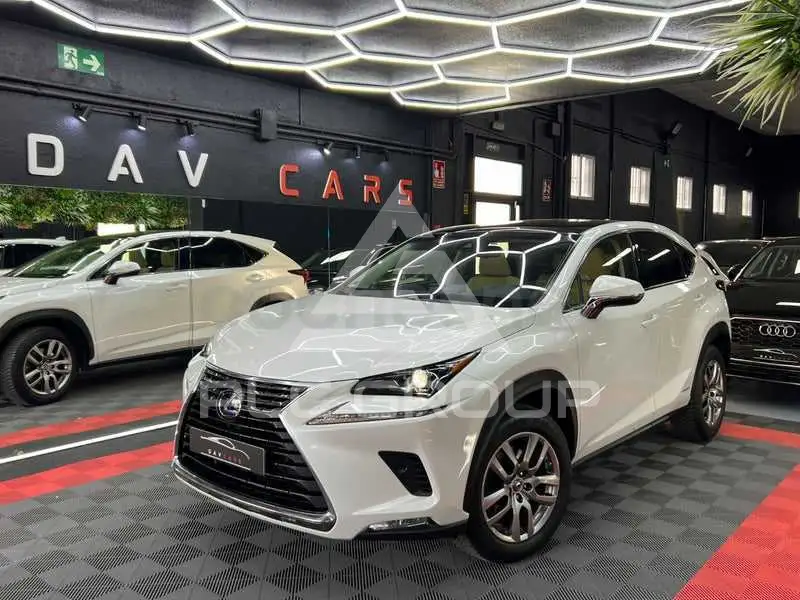 2018 Lexus NX