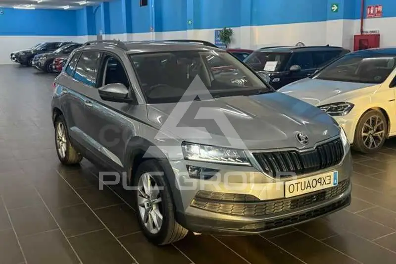 2019 Skoda Karoq