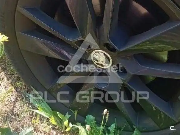 2019 Skoda Octavia