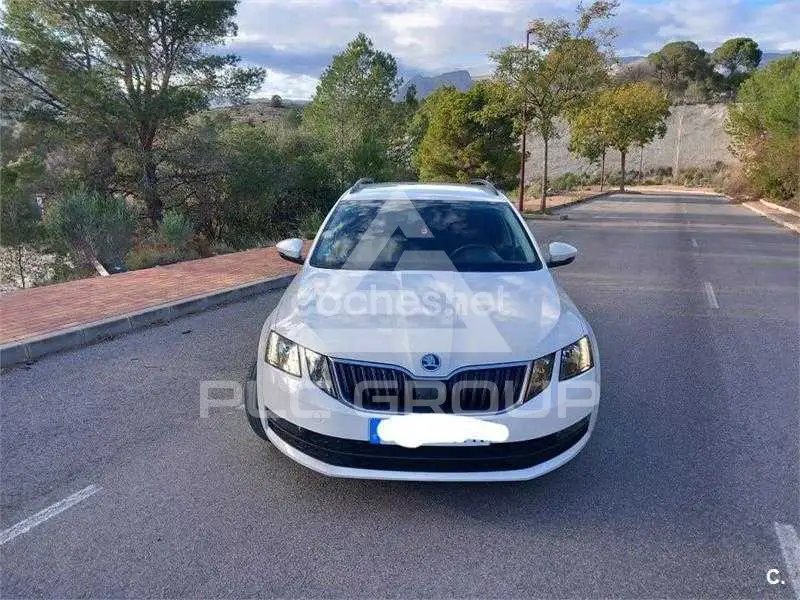 2019 Skoda Octavia