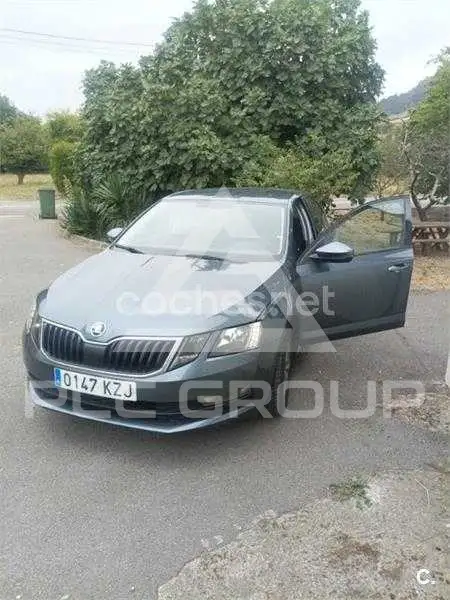 2019 Skoda Octavia