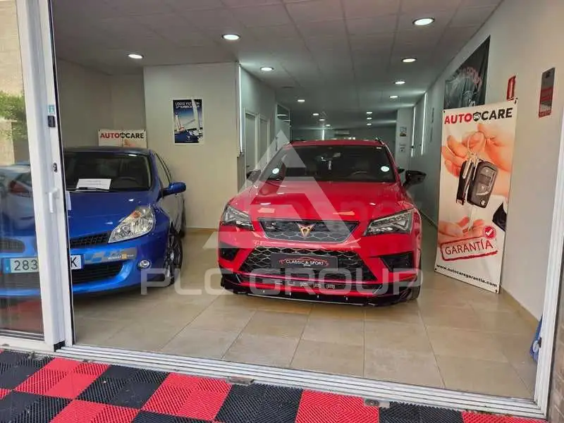 2019 Cupra Other