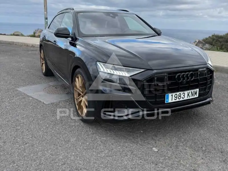 2019 Audi Q8