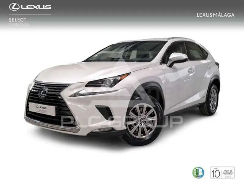 2019 Lexus NX