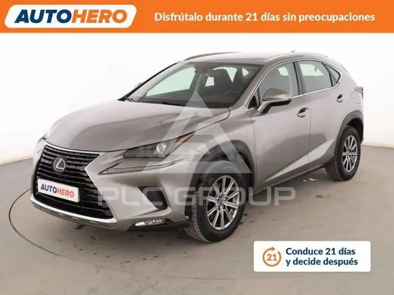 2019 Lexus NX