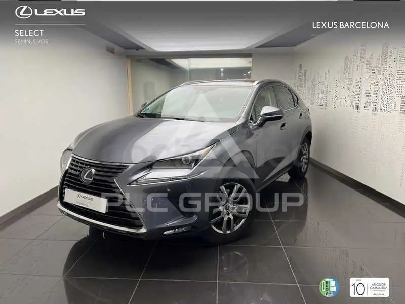2019 Lexus NX