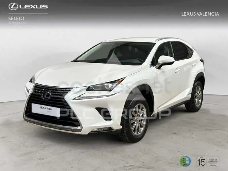 2019 Lexus NX