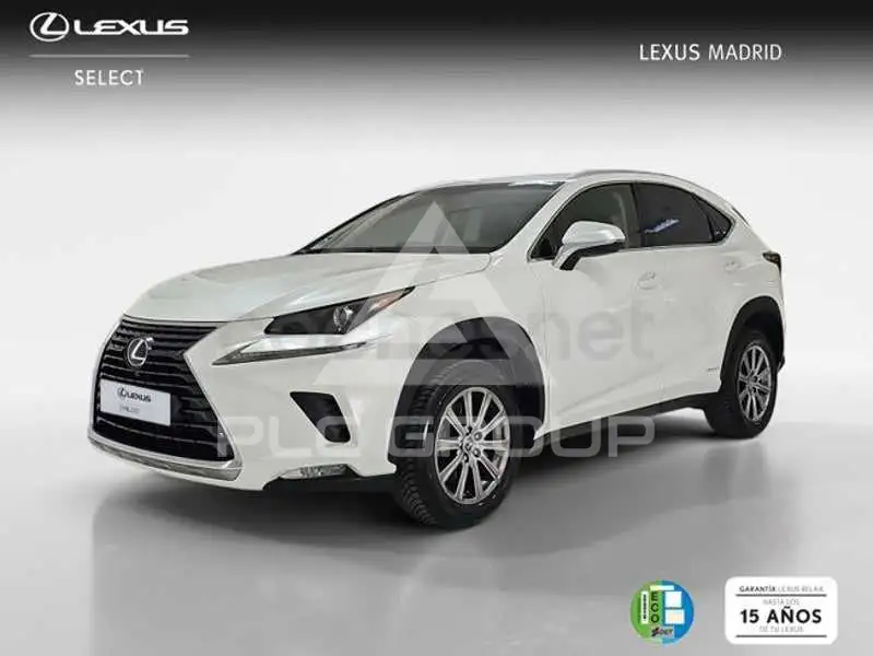 2019 Lexus NX