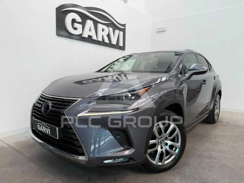 2019 Lexus NX