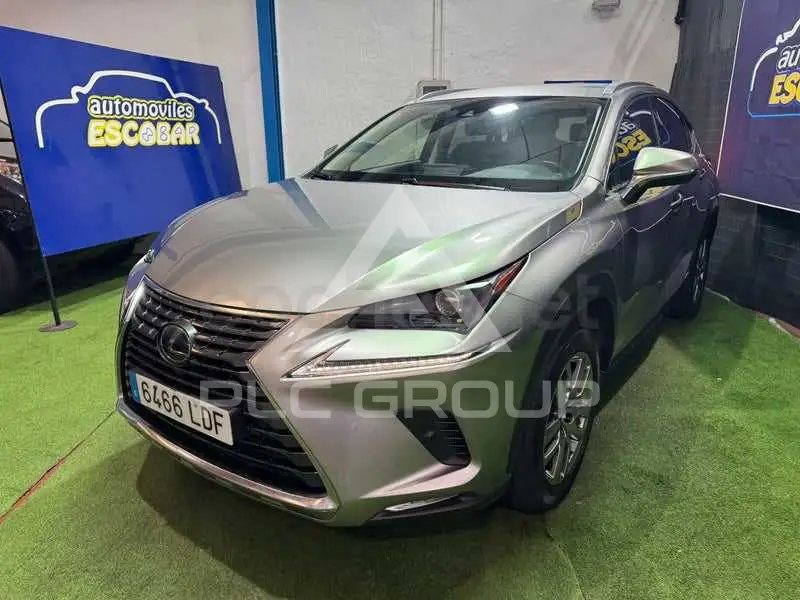 2019 Lexus NX