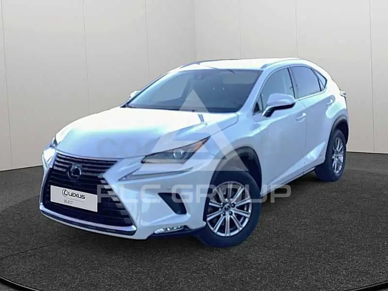 2019 Lexus NX