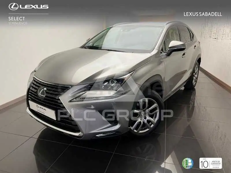 2019 Lexus NX