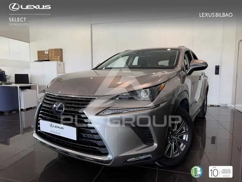 2019 Lexus NX