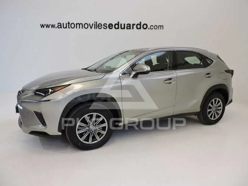 2019 Lexus NX