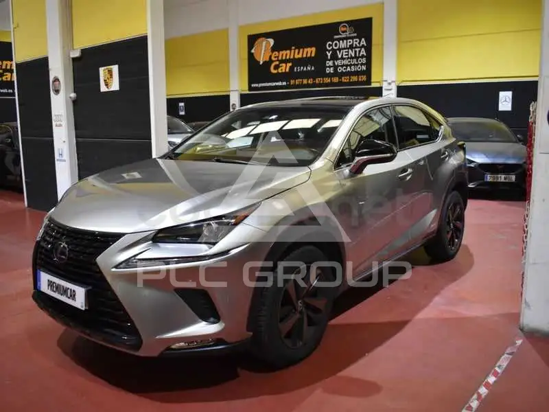 2019 Lexus NX