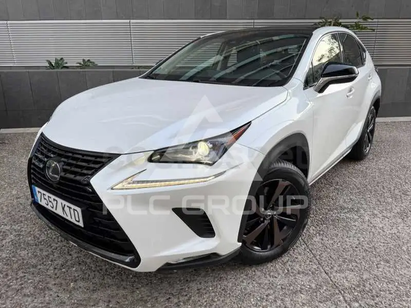 2019 Lexus NX