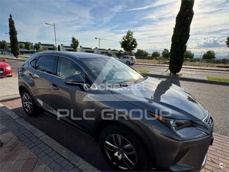 2019 Lexus NX