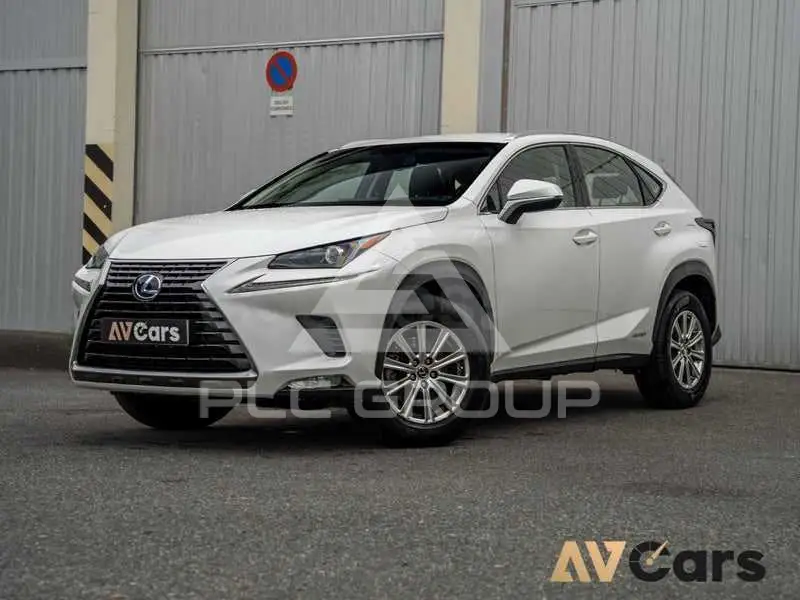 2019 Lexus NX