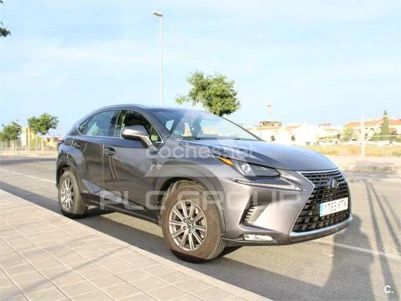 2019 Lexus NX