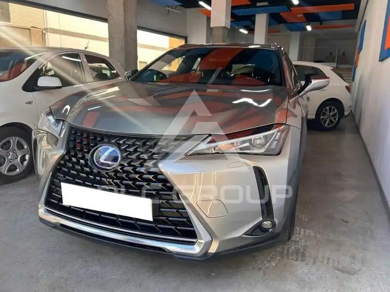 2019 Lexus UX