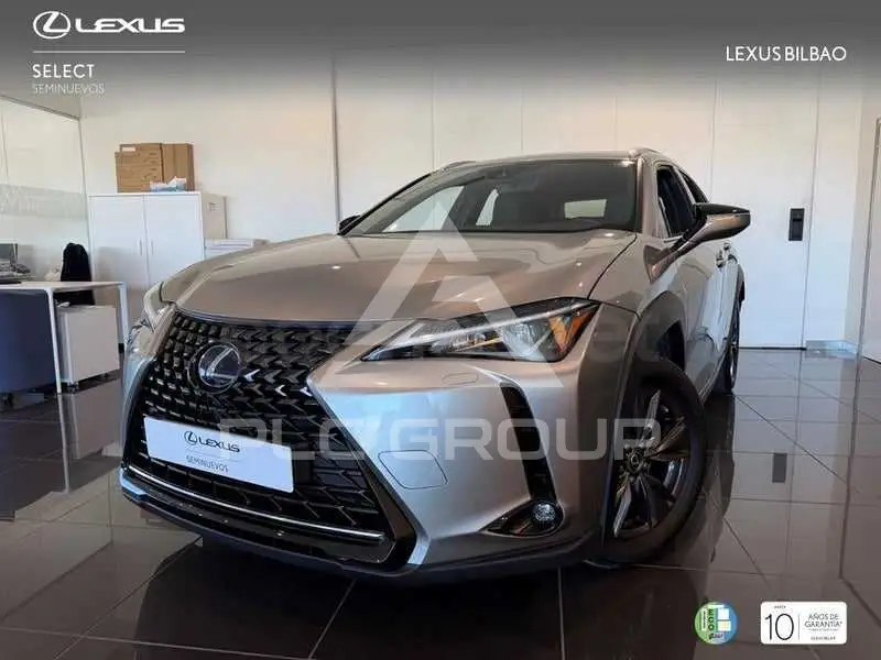 2019 Lexus UX