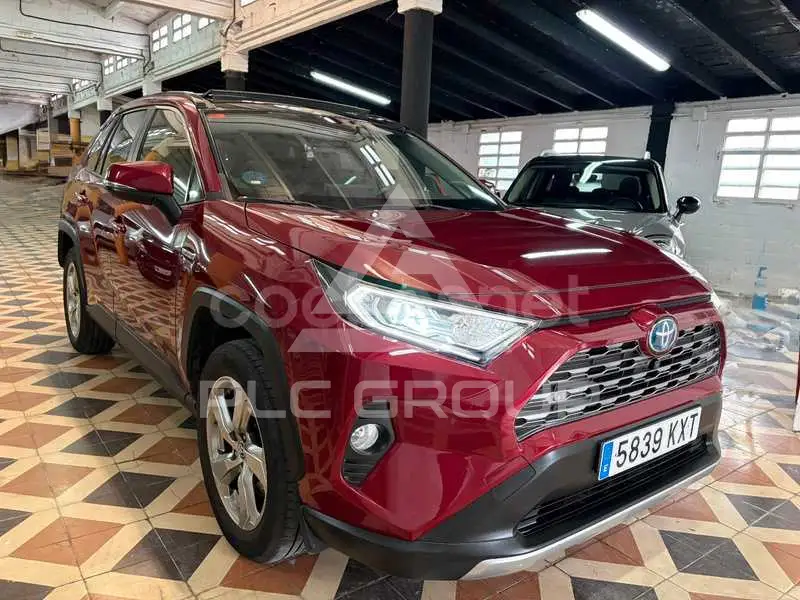 2019 Toyota RAV4