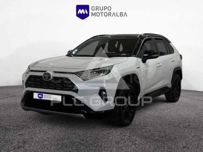 2019 Toyota RAV4
