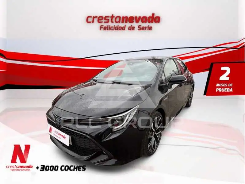 2019 Toyota COROLLA