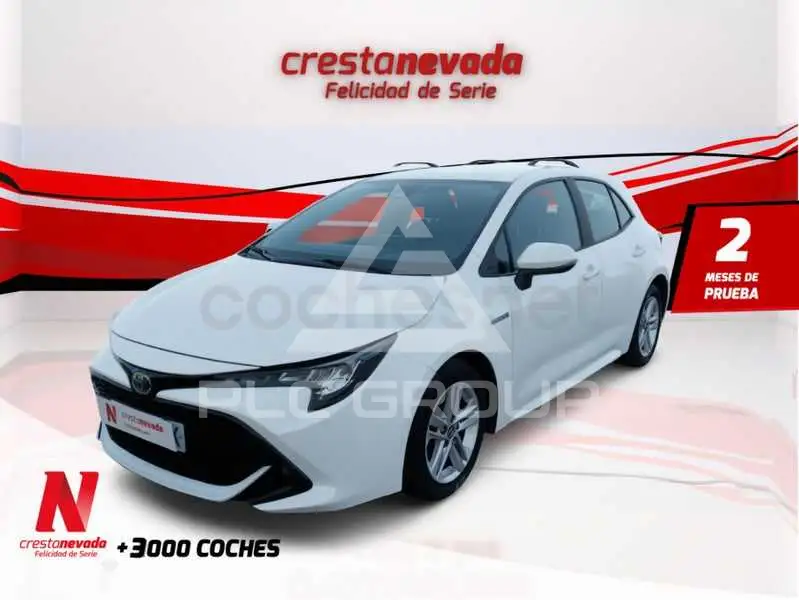2019 Toyota COROLLA