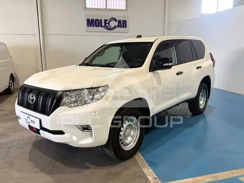 2019 Toyota LAND CRUISER
