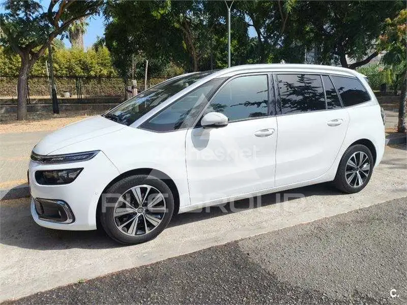 2019 Citroen C4