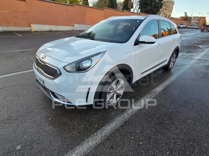 2019 KIA Niro