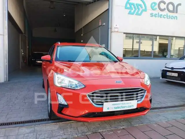 2019 Ford FOCUS