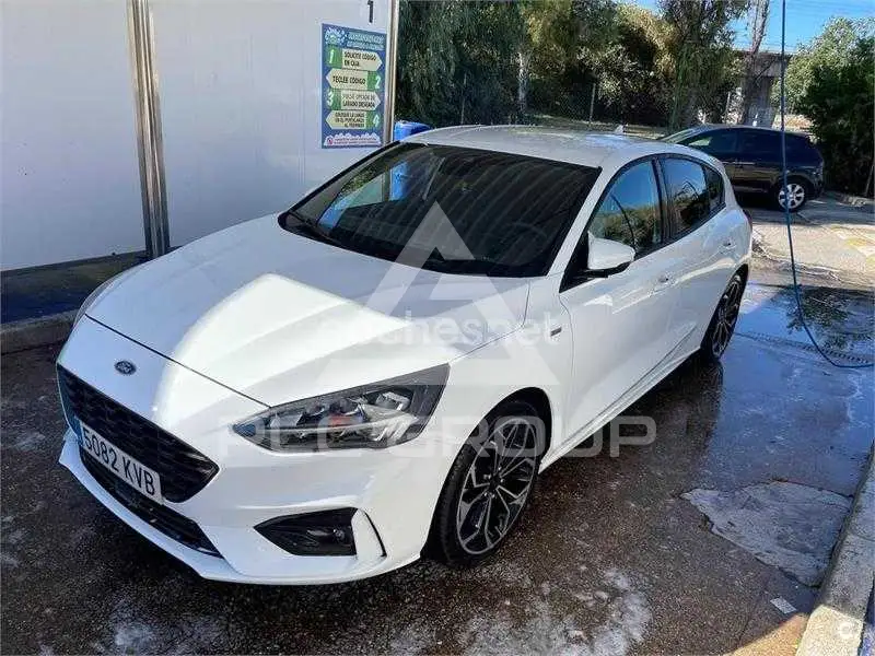 2019 Ford FOCUS