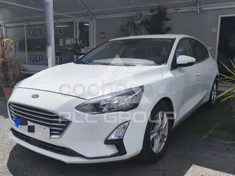 2019 Ford FOCUS