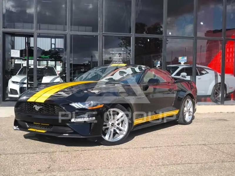 2019 Ford MUSTANG