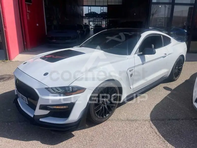 2019 Ford MUSTANG