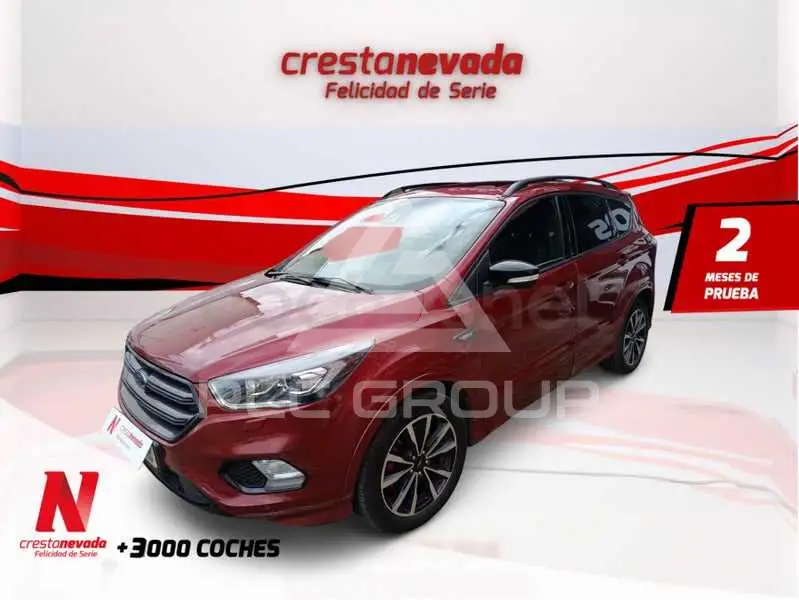 2019 Ford Kuga