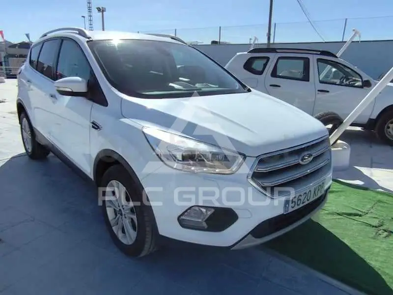 2019 Ford Kuga