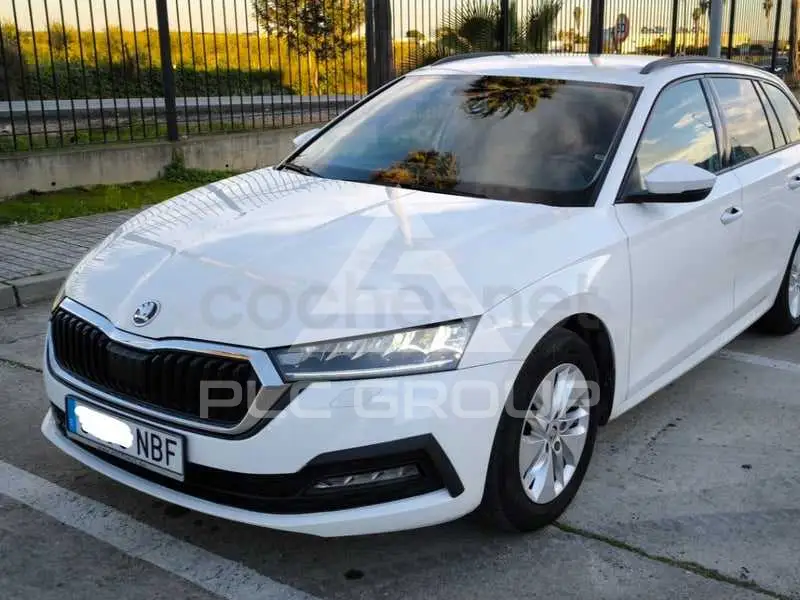 2020 Skoda Octavia