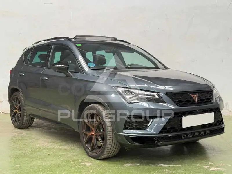 2020 Cupra Other