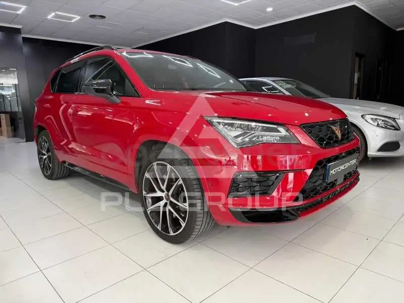 2020 Cupra Other